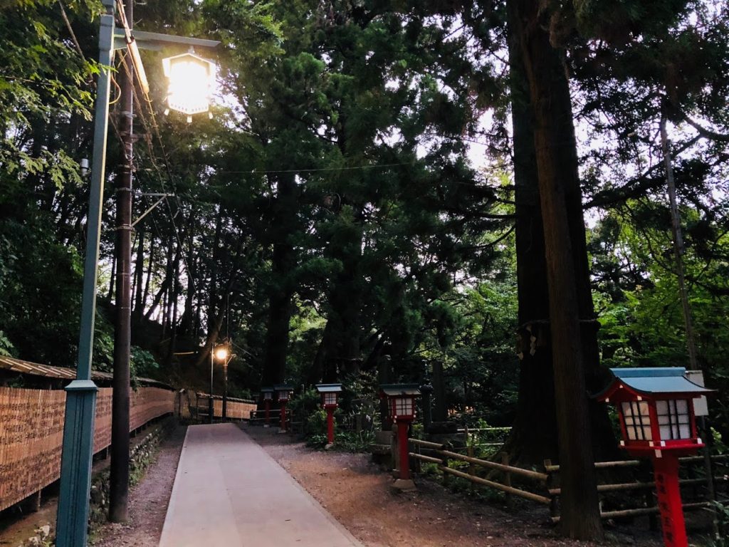 the evening of mt.takao