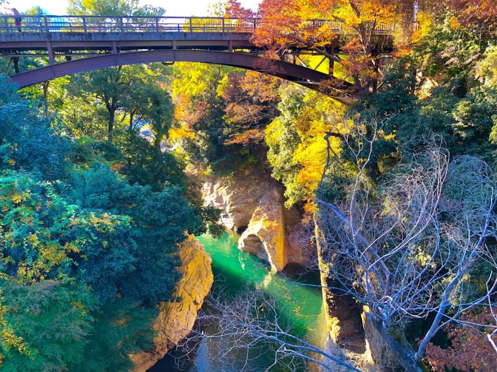 猿橋から見た紅葉の渓谷