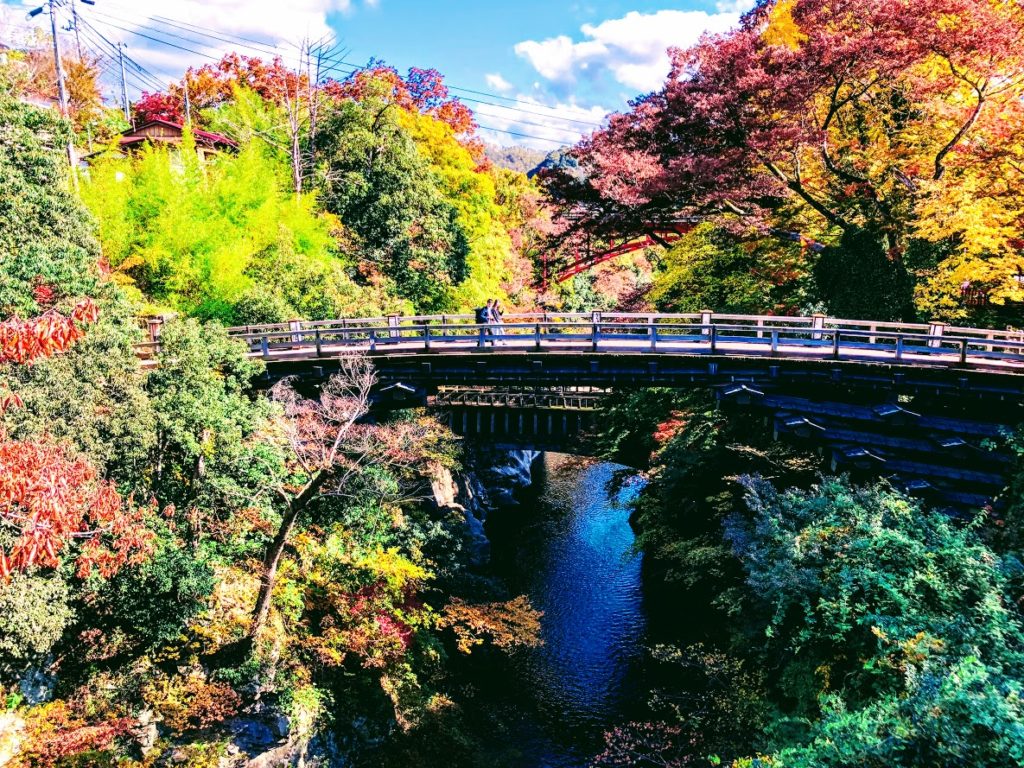 紅葉の猿橋