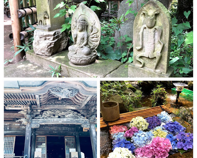 Walking in the Jindaiji area | Botanical Gardens, Temples and Hot Spring