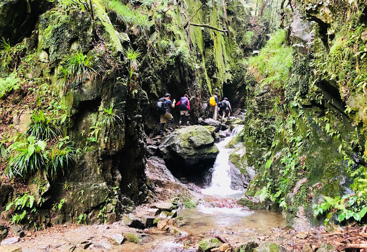 Hiking at Mt.Bonore to Let’s adventure the valley and the waterfalls (2018.08.11)
