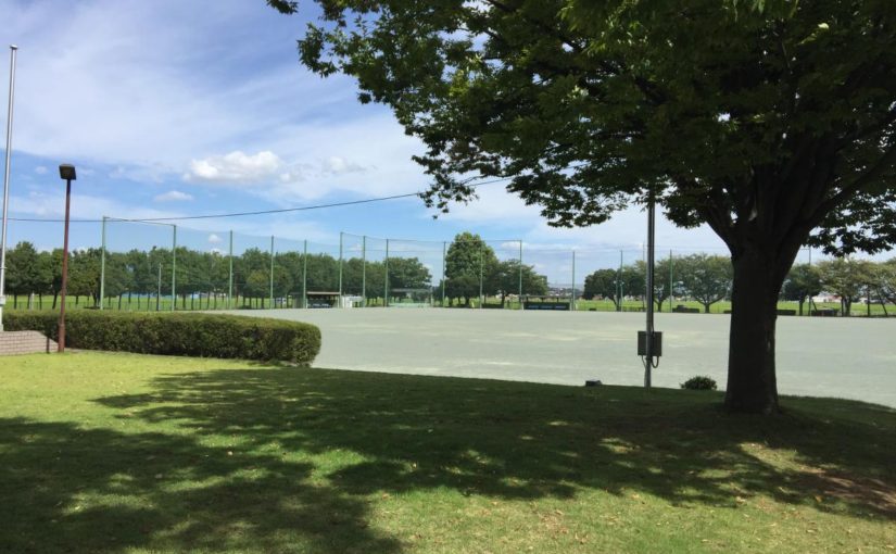 The 3rd Chiyoda Tonegawa hospitality marathon ( January 20, 2019 )