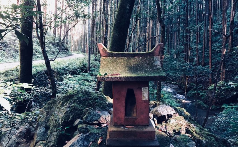 Private Trail Running Guide to Oku-Musashi Nature | From Kitamuki Jizou to Mt. Hiwada