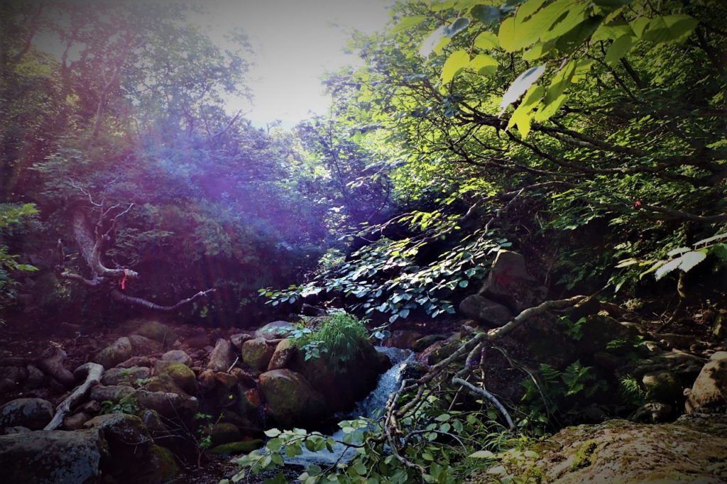 Walking while enjoying a beautiful waterfalls such as Seven-fold waterfall (七重の滝).