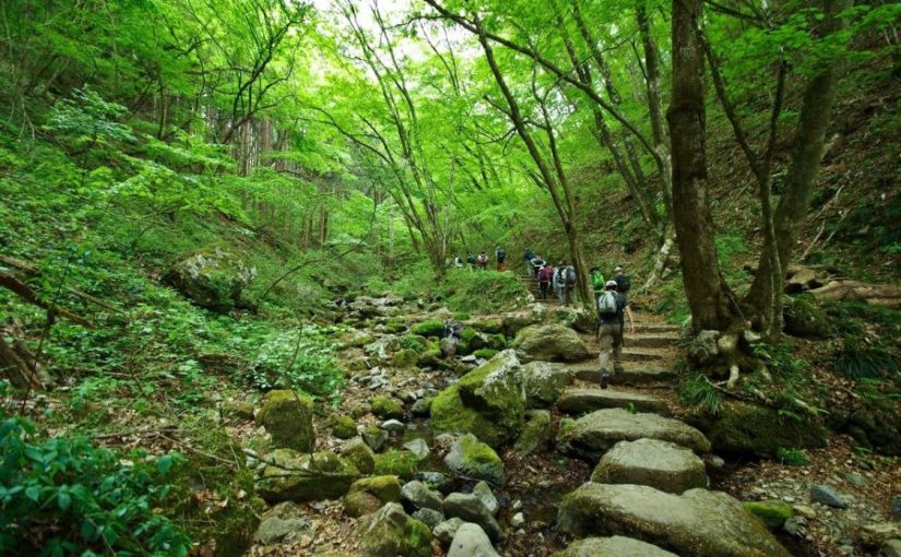 【Week Day Hiking on April 22nd】Mt.Mitake and Rock Garden